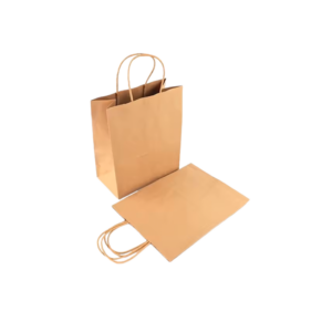 Twist Handle Kraft Paper Bag